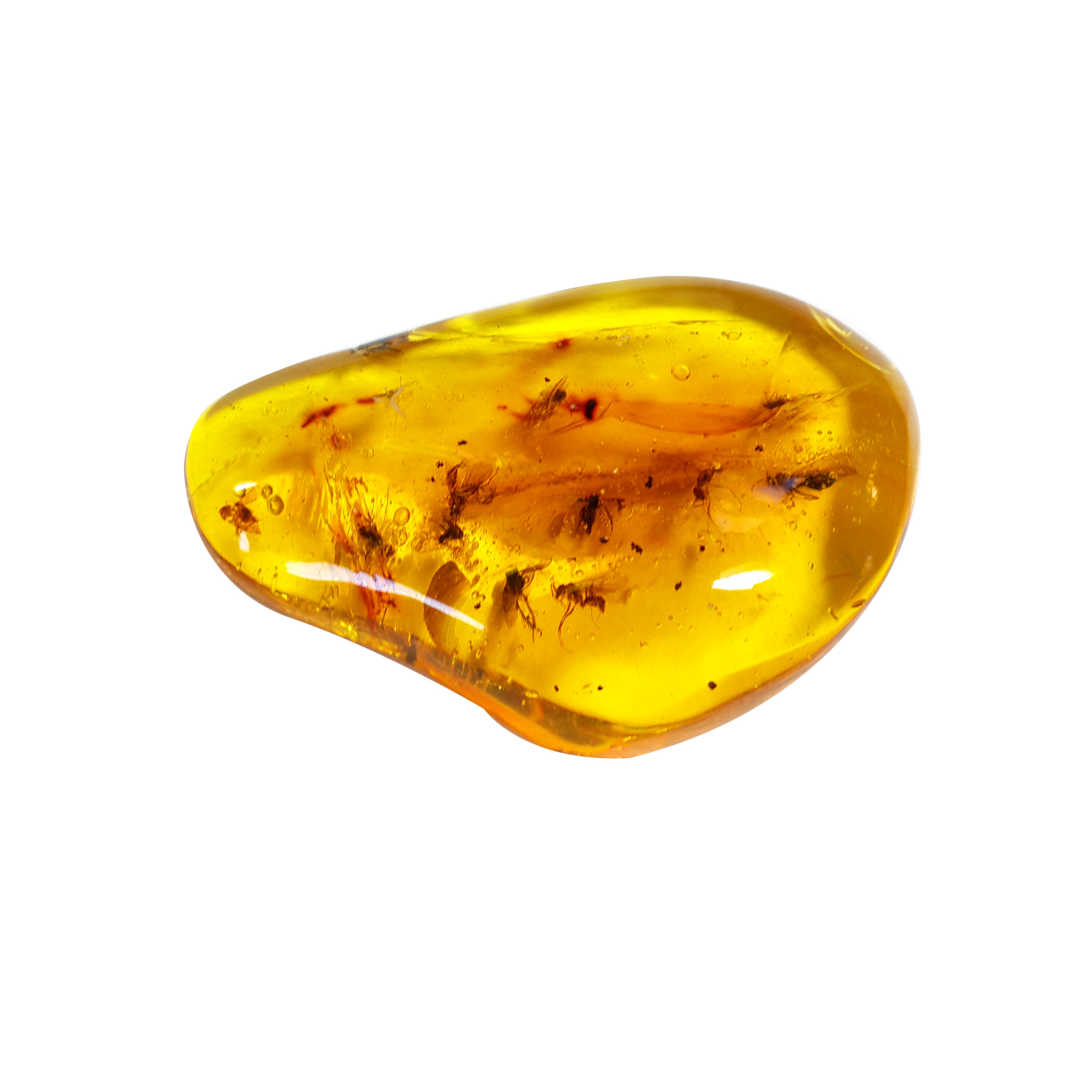 Jor-Specimen-Product 82