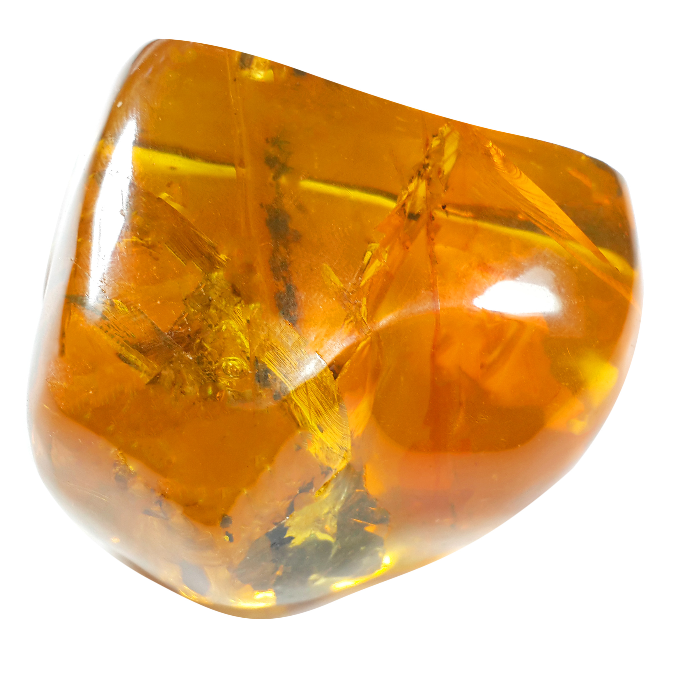 Jor-Specimen-Product 58