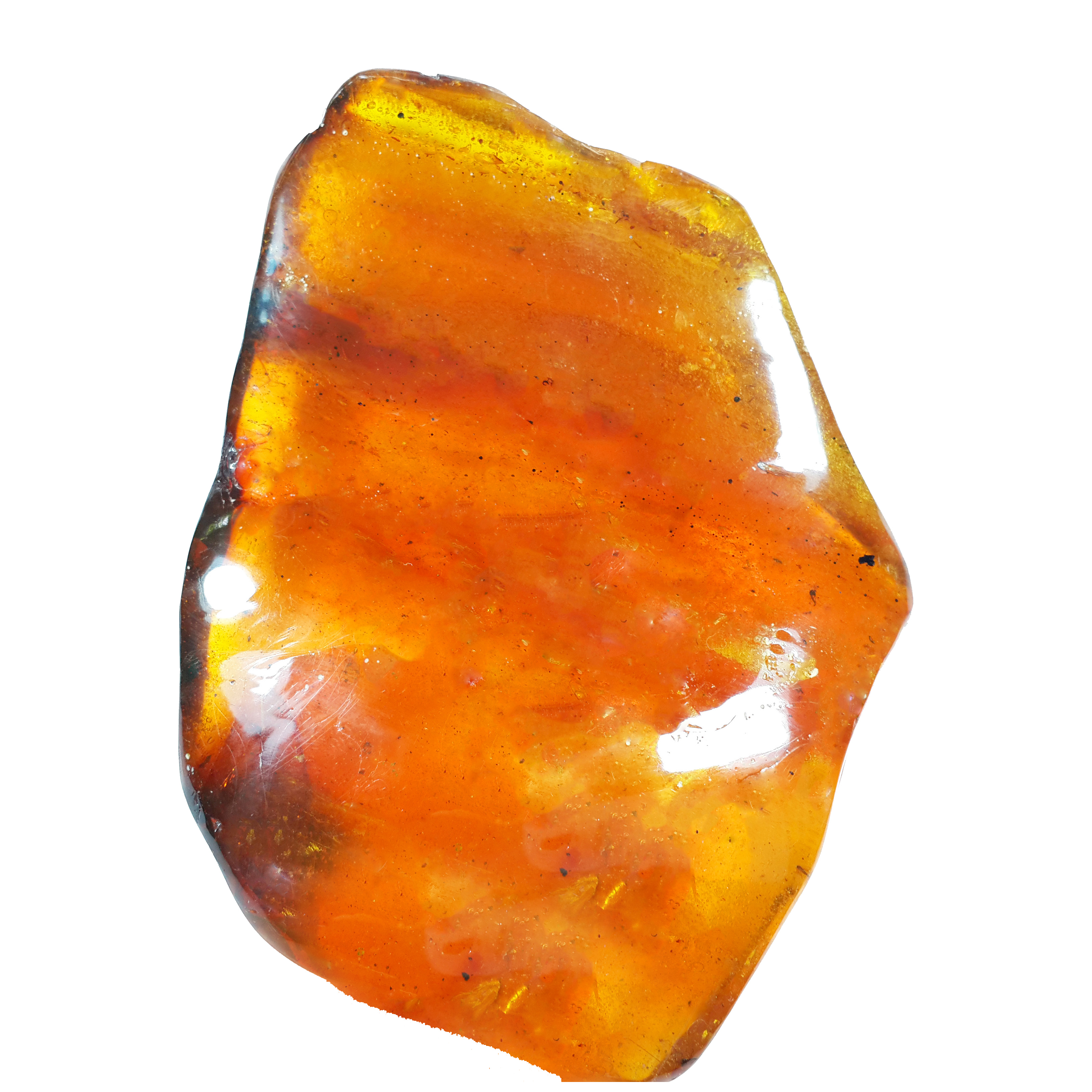 Jor-Specimen-Product 59