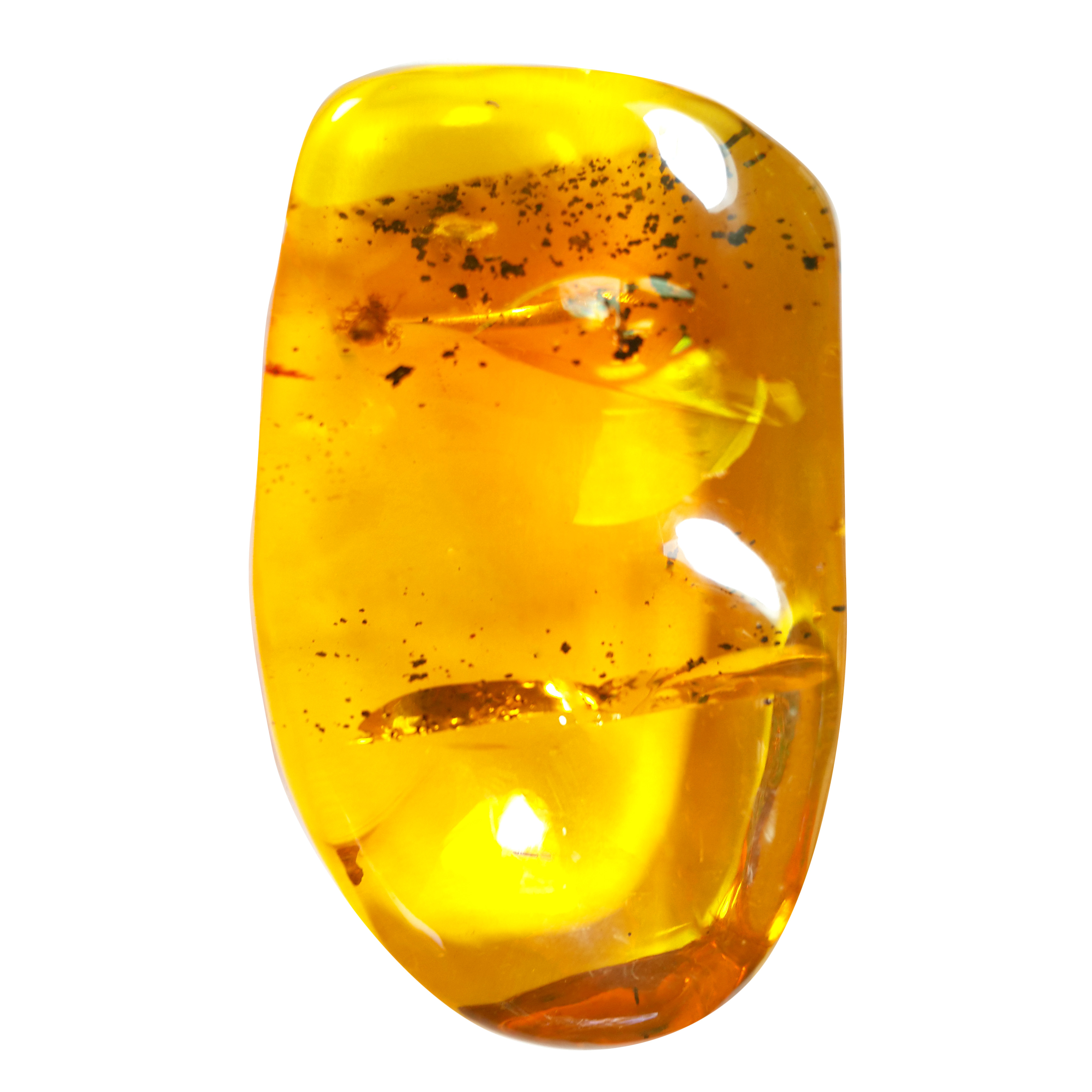 Jor-Specimen-Product 63