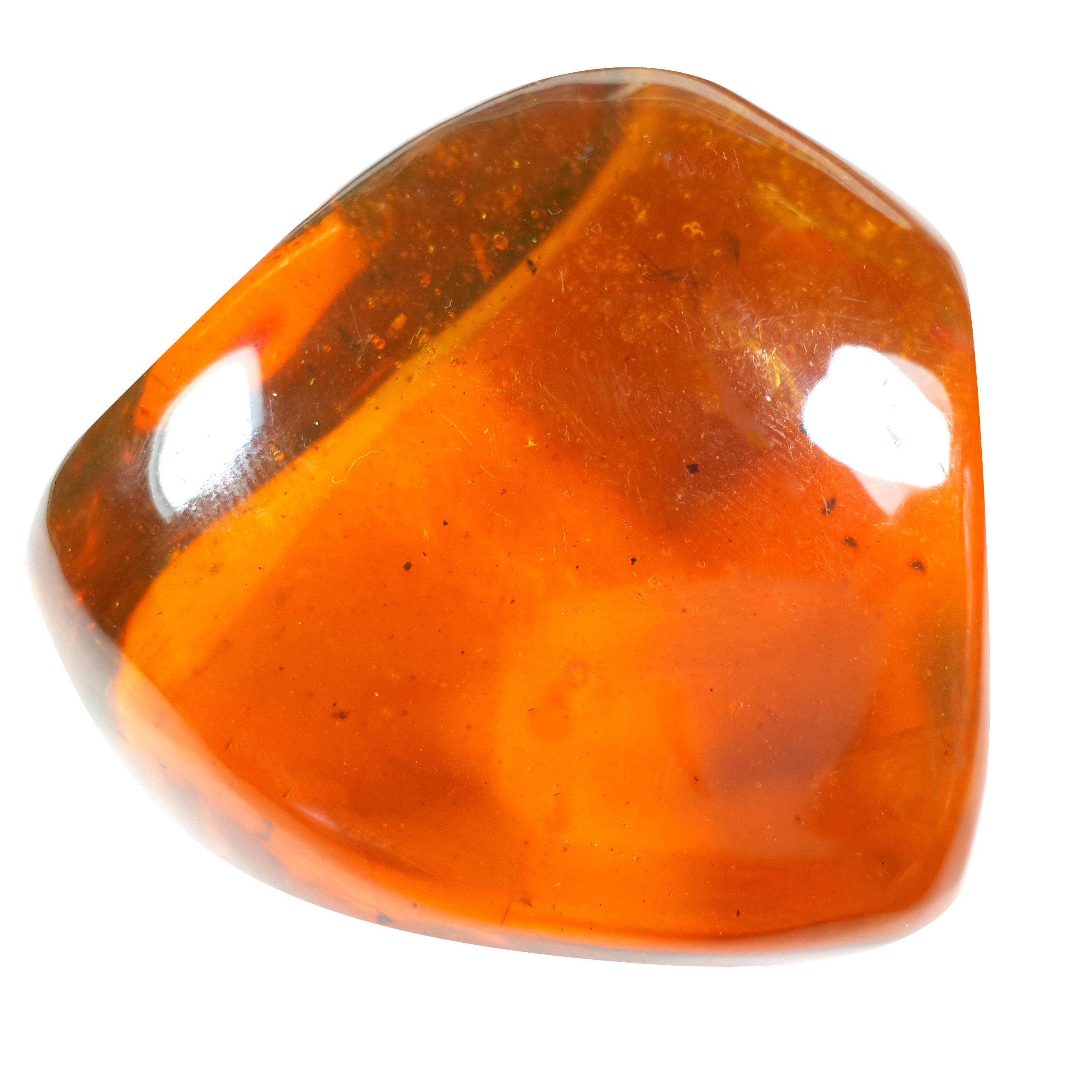 Jor-Specimen-Product 65