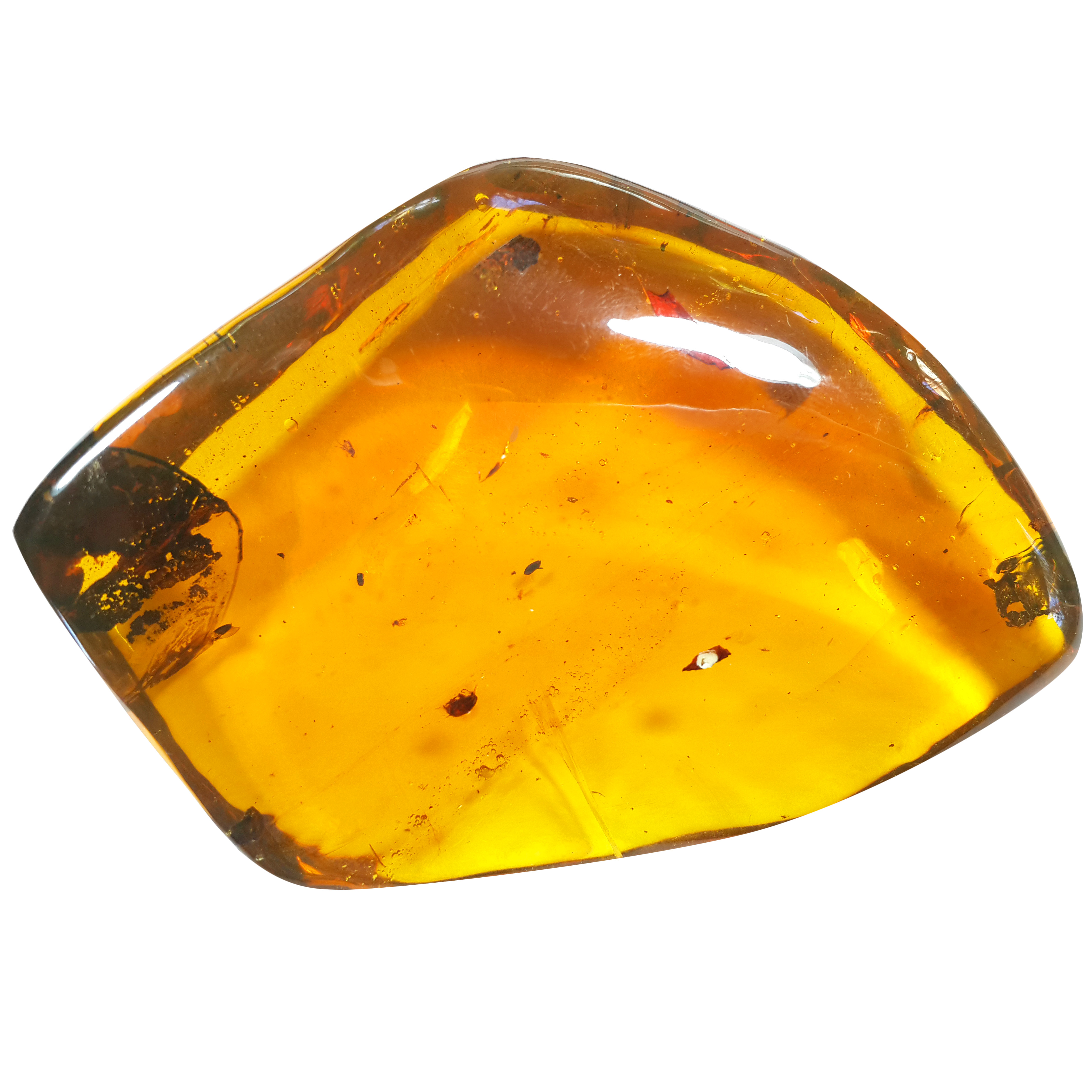 Jor-Specimen-Product 67
