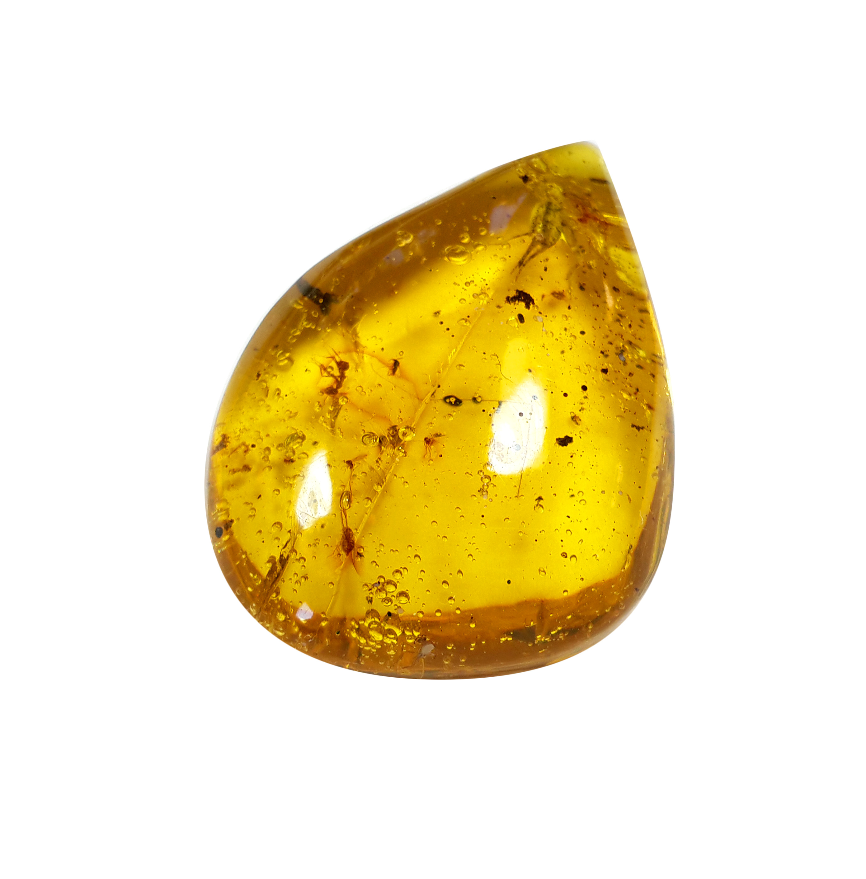 Jor-Specimen-Product 80