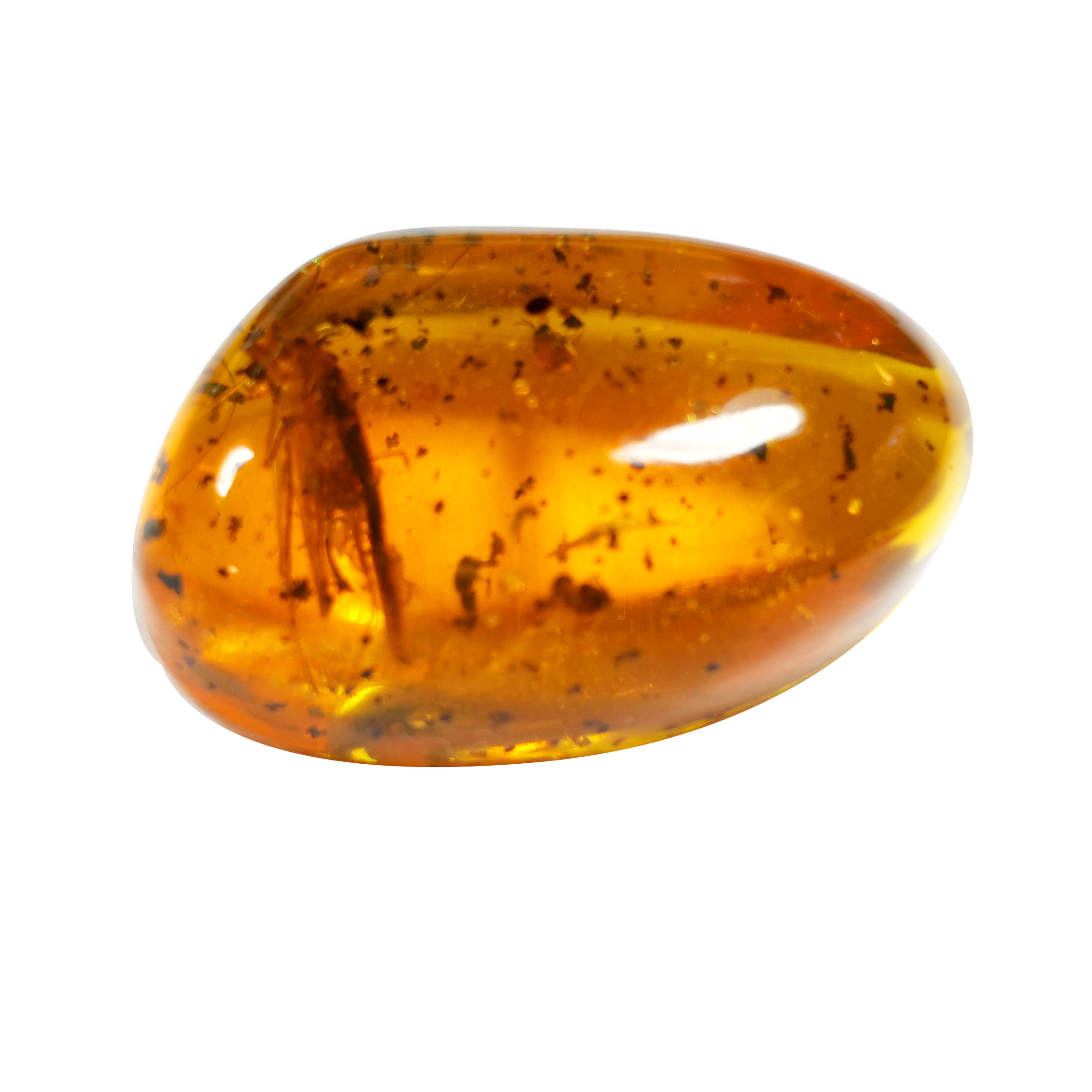 Jor-Specimen-Product 83