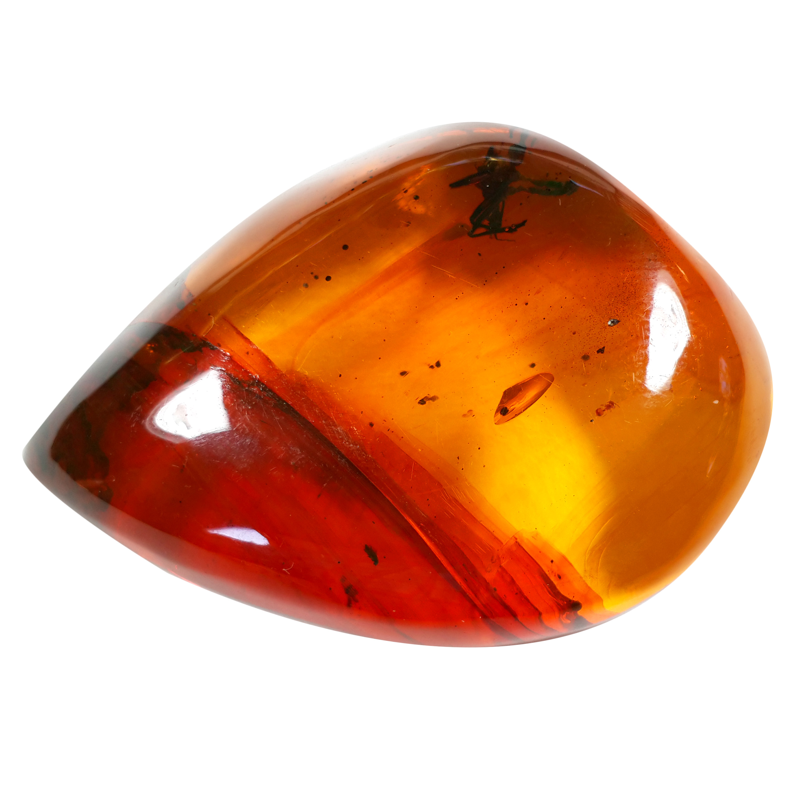 Jor-Specimen-Product 69