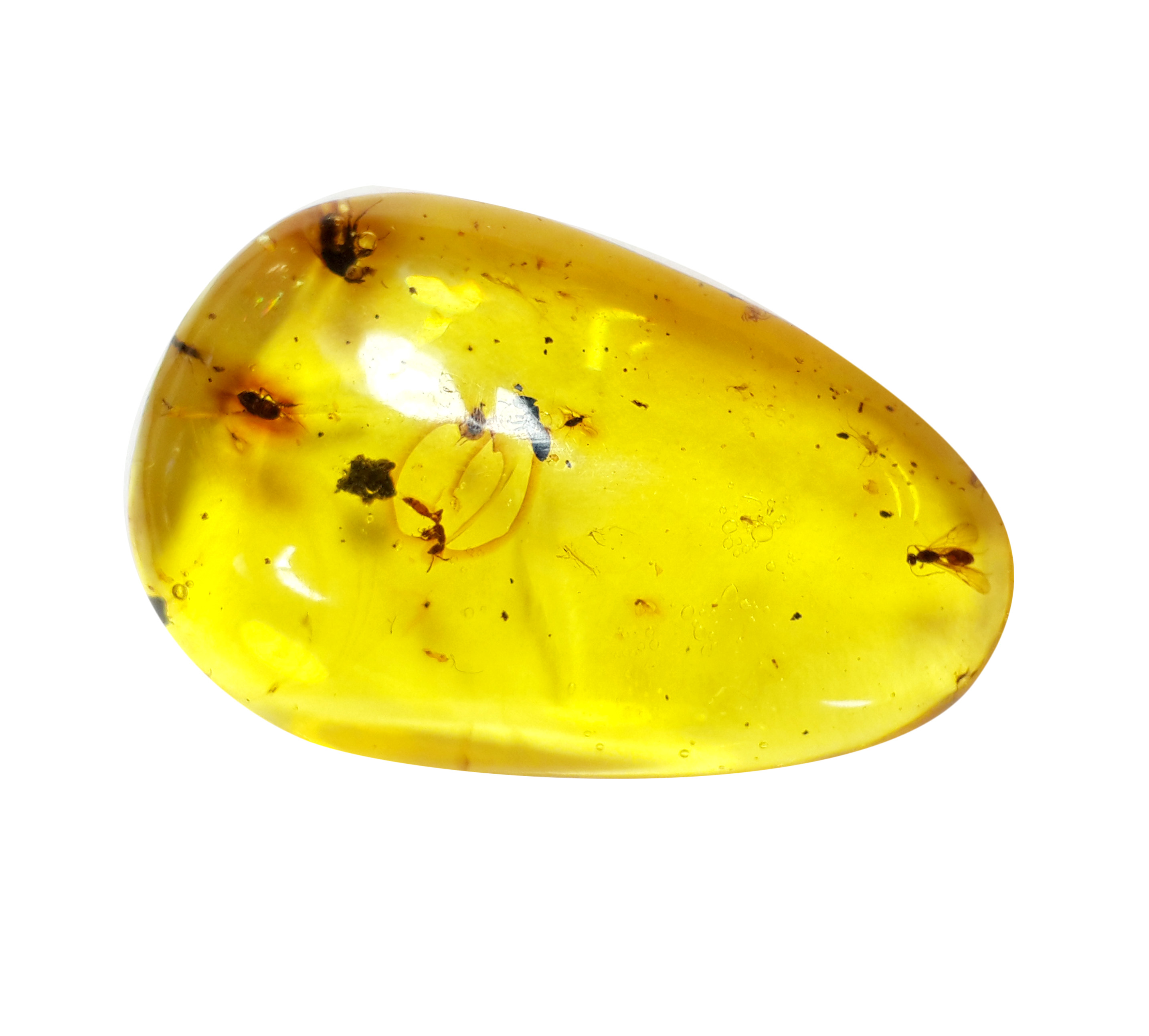 Jor-Specimen-Product 75