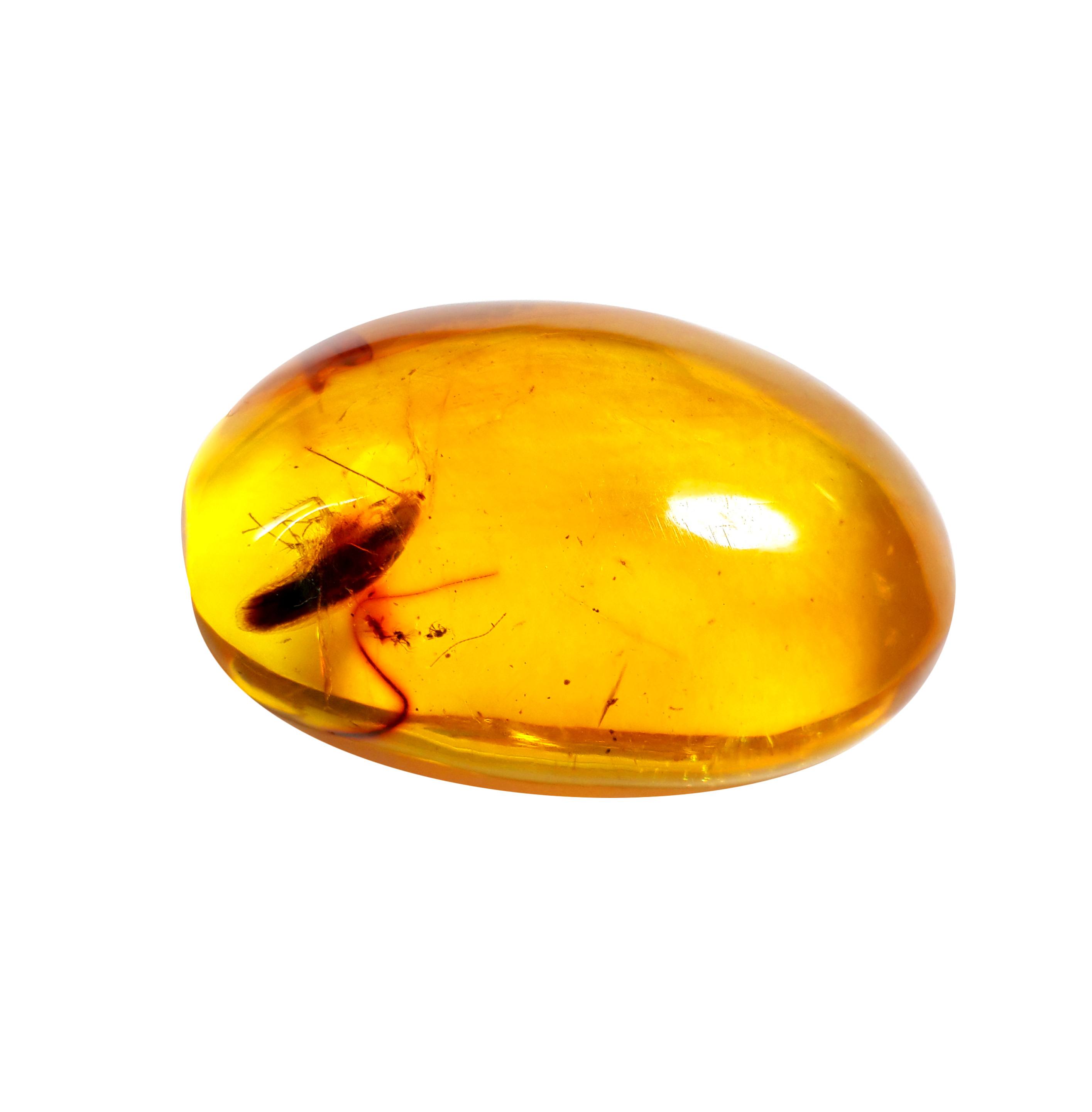 Jor-Specimen-Product 76