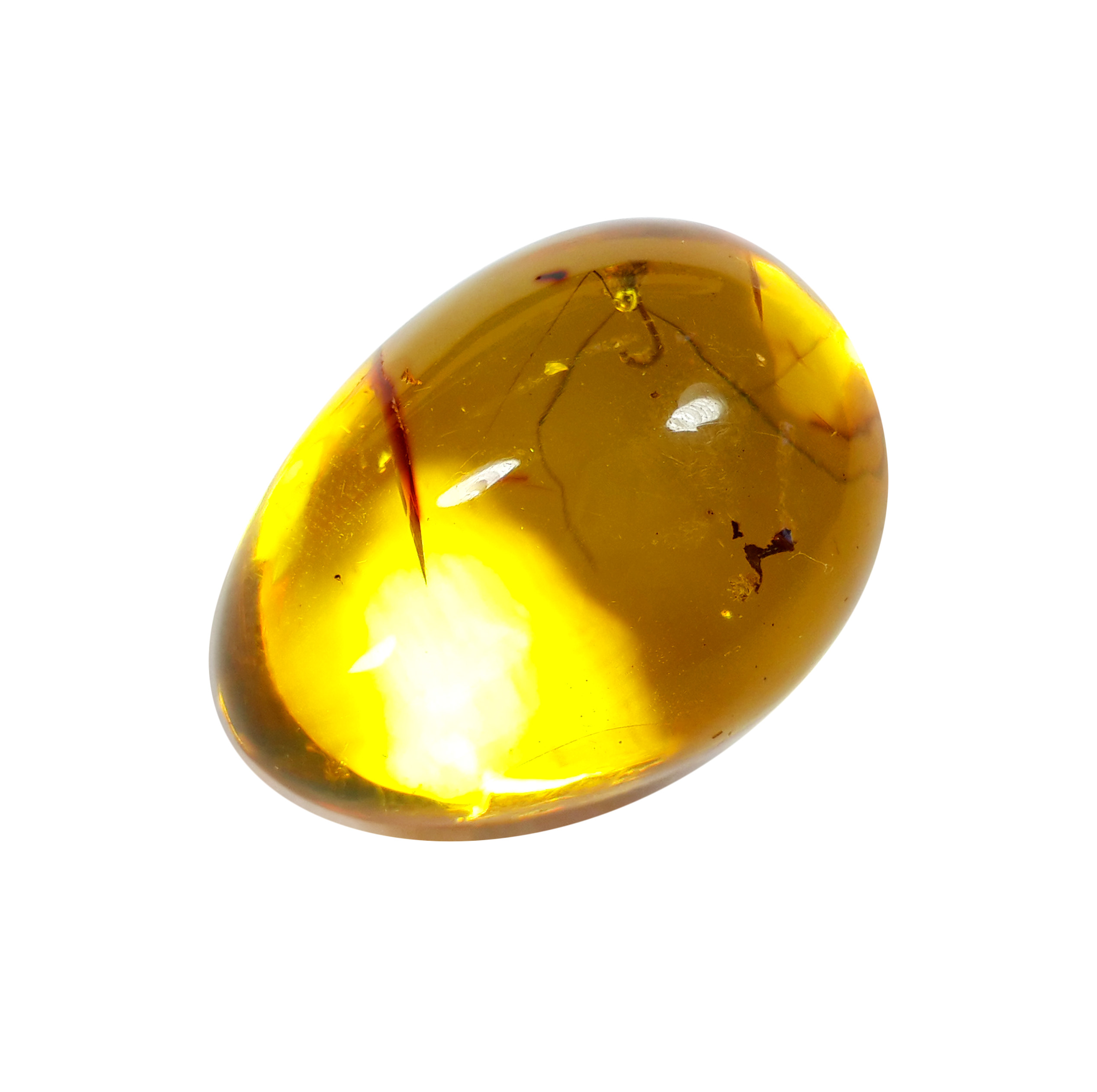 Jor-Specimen-Product 77