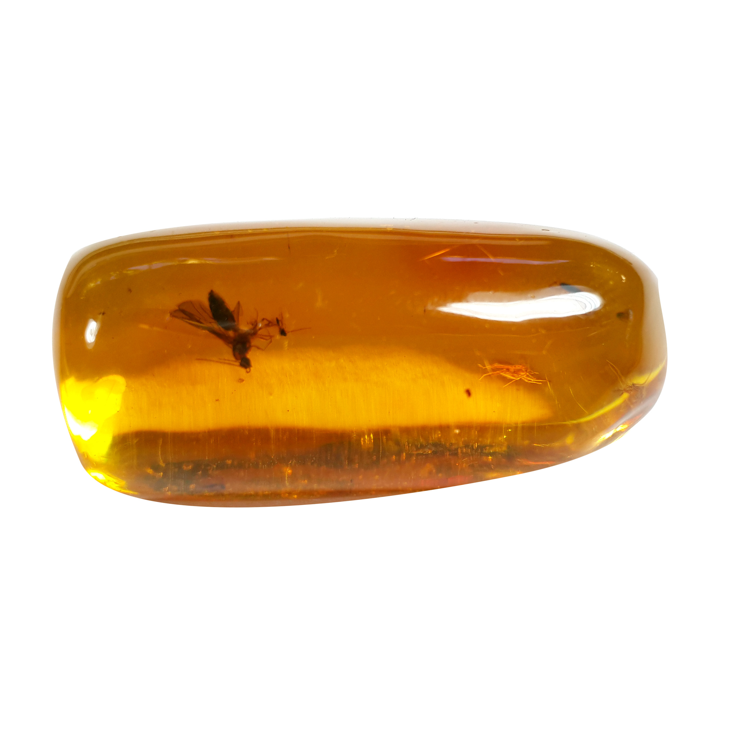 Jor-Specimen-Product 78