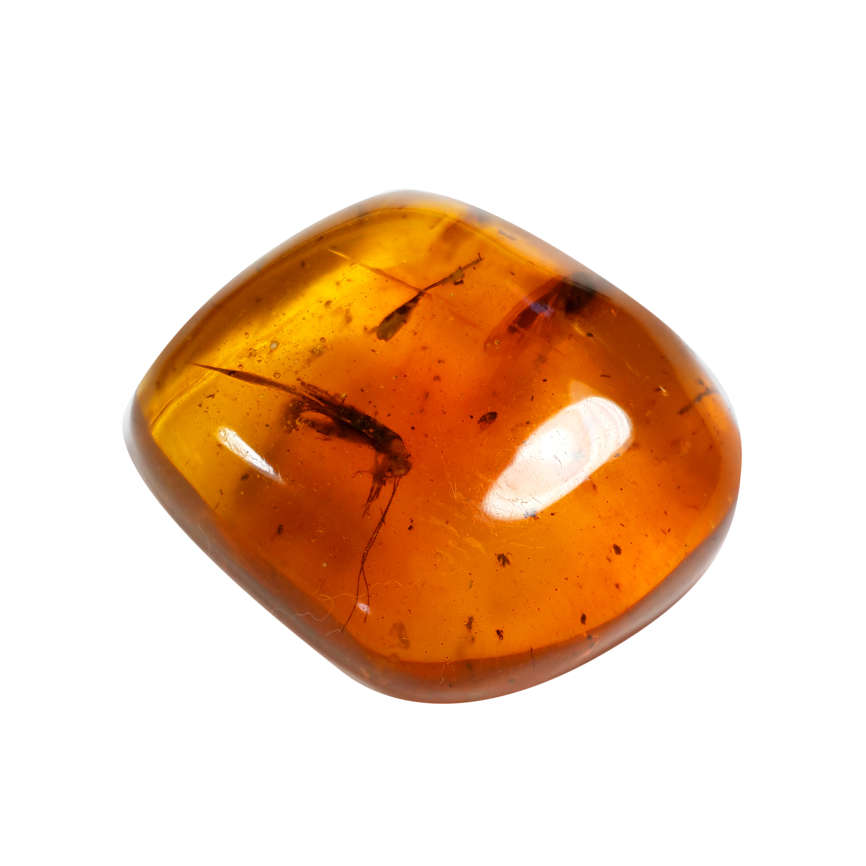 Jor-Specimen-Product 79