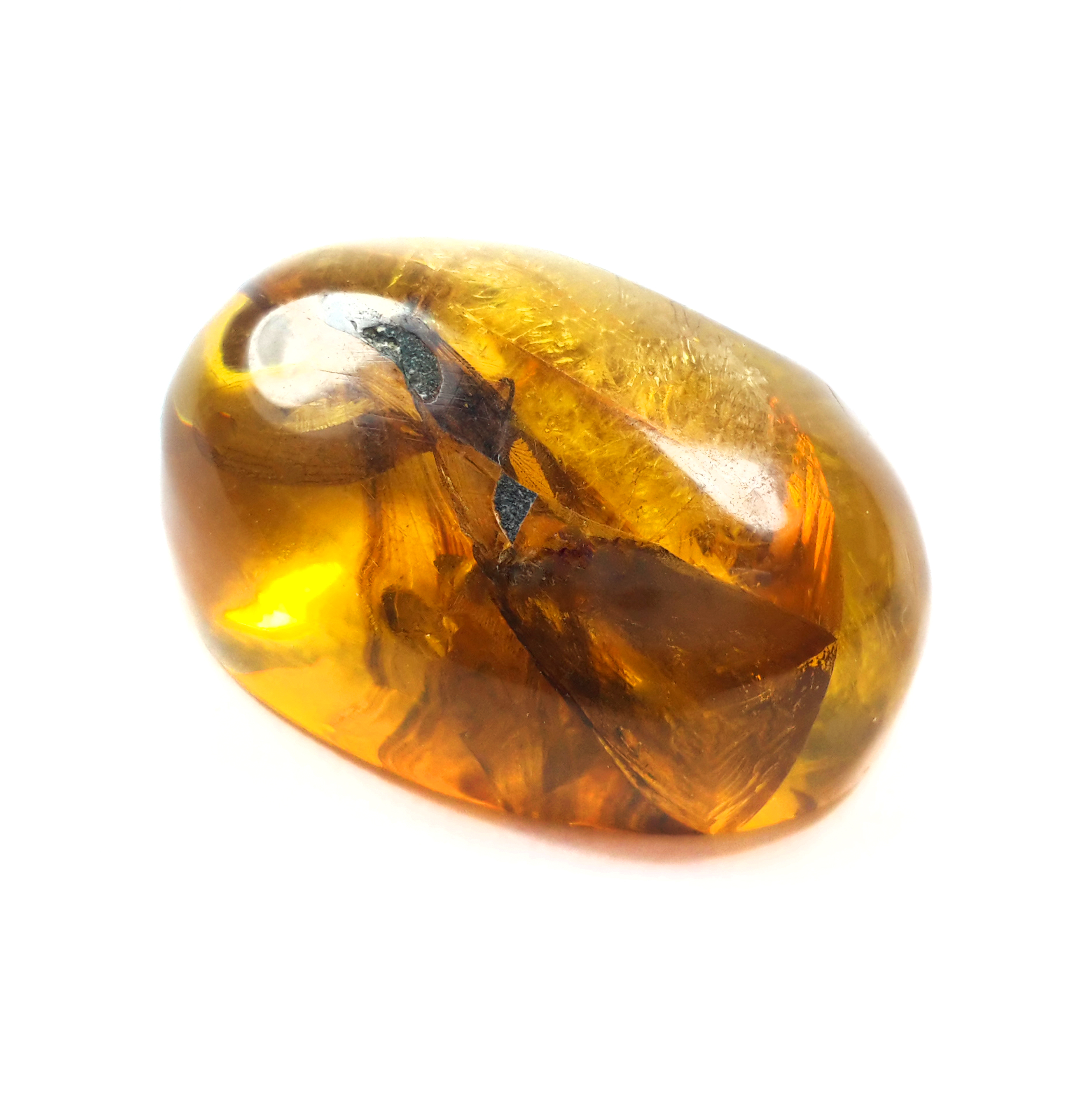 Jor-Specimen-Product 162