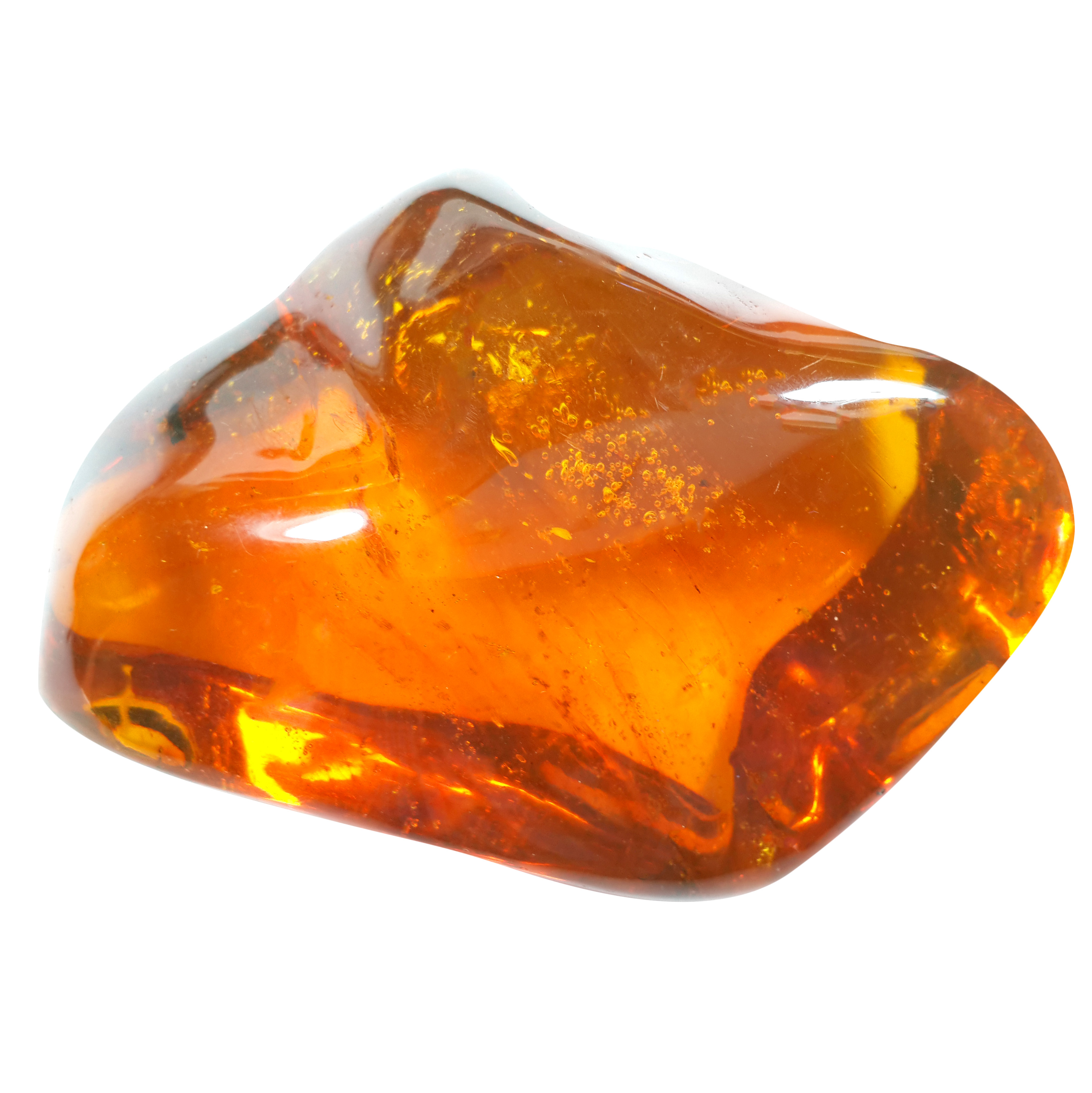 Jor-Specimen-Product 64