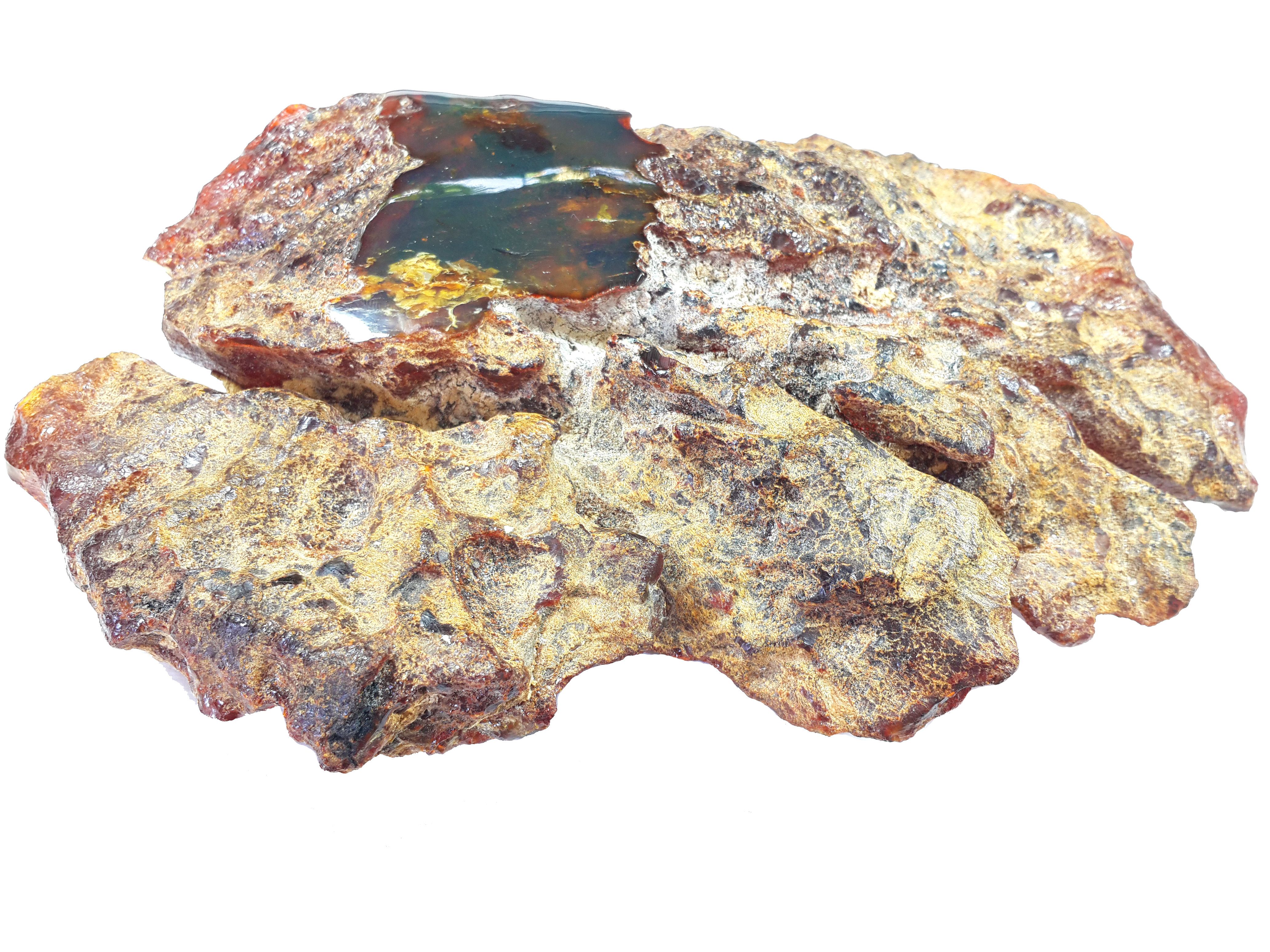 Jor-Specimen-Product 66