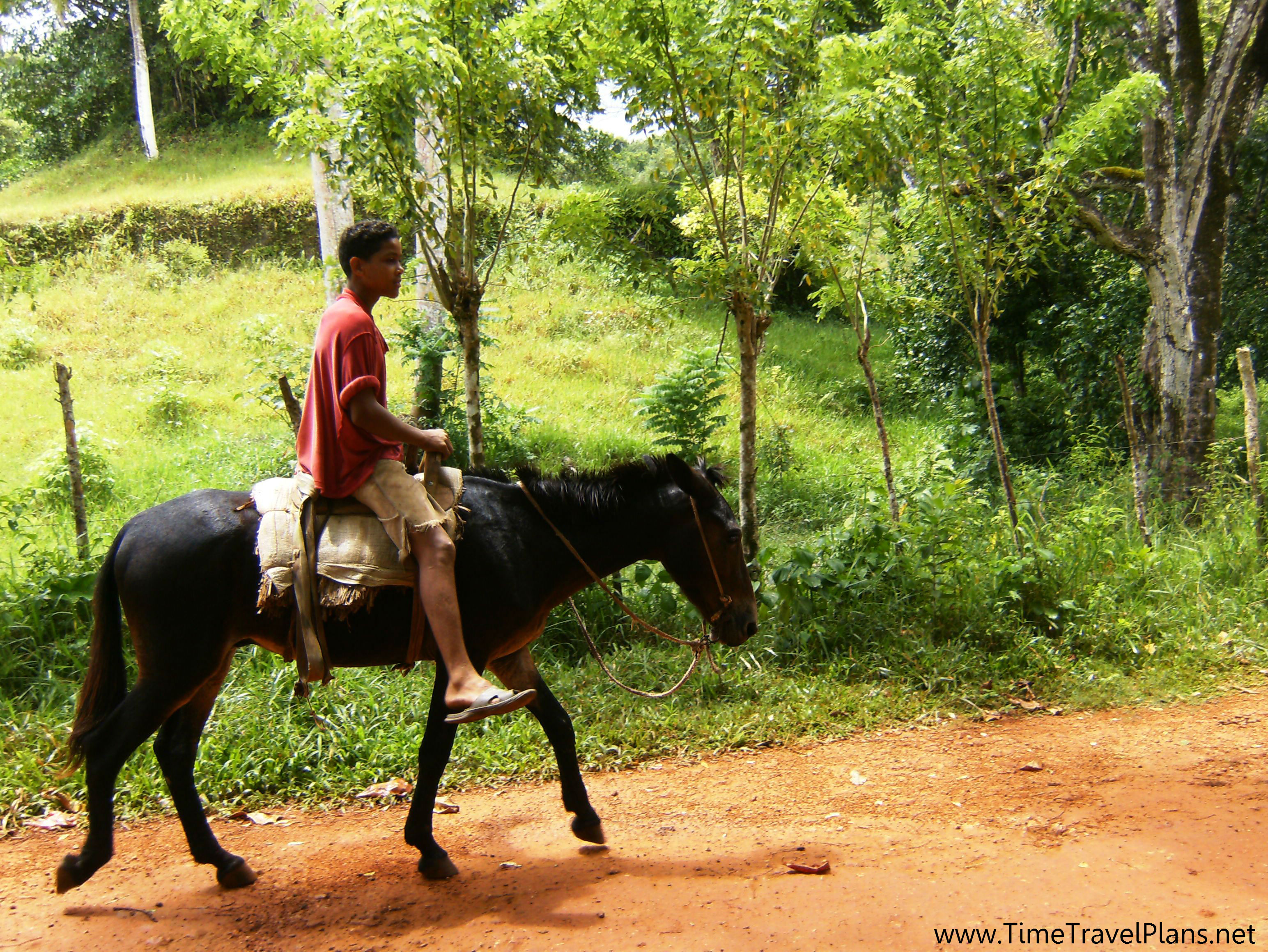 dominican-boy-on-his-horse-outback-safari-edited